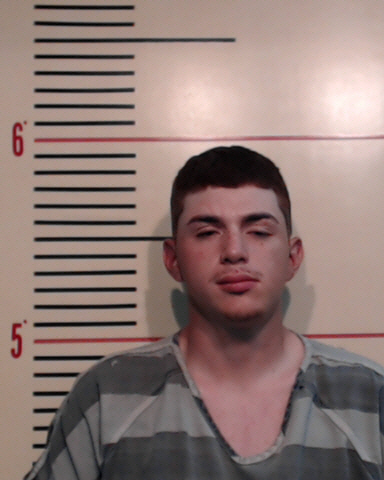 TREVINO, CARLOS DAMIAN, JR. #, Parker County, Texas - 2017-05-28