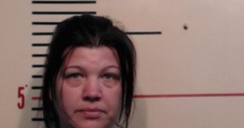 HIDALGO, KATHLEEN MARIE | 2017-05-28 Parker County, Texas Booking