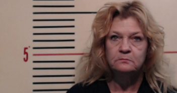 WRIGHT, DEBORAH LYNN | 2017-05-29 Parker County, Texas Booking