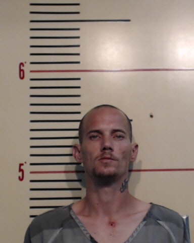 HALL, ANTHONY RAY #, Parker County, Texas - 2017-05-29