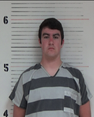 BLEVINS, JORDAN BRETT #, Parker County, Texas - 2017-05-29