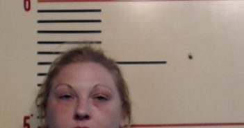 BUCKLEW, JESSICA KAY | 2017-05-29 Parker County, Texas Booking