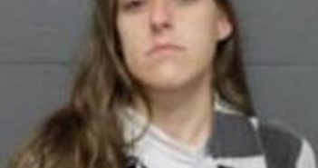 NICHOLE CONKLIN | 2017-05-30 19:09:00 Delaware County, New York Booking