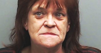 FRENZEL, LINDA | 2017-05-31 Hays County, Texas Booking