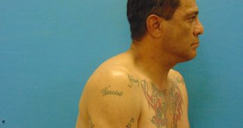 GURRERO, DAVID HERNANDEZ | 2017-05-31 Guadalupe County, Texas Booking