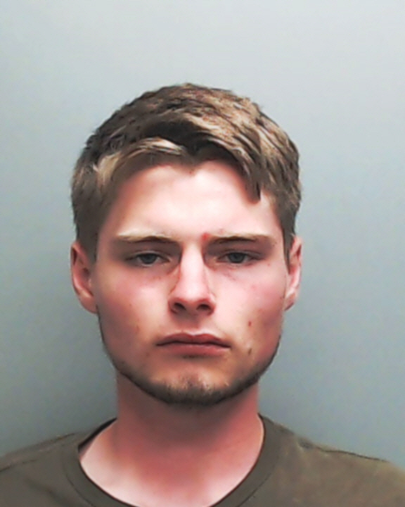 FINE, COLE MICHEAL #, Hays County, Texas - 2017-05-31