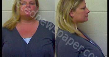 LEWIS ERICA HANING | 2017-04-01 14:25:18 Craven County, North Carolina Booking