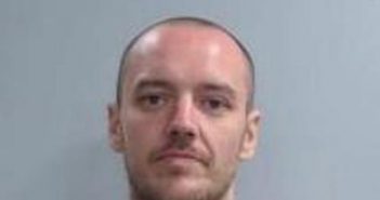 GAVIN PATTON | 2017-06-01 20:52:00 Fayette County, Kentucky Booking