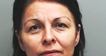 MARTINEZ, DALIA E. | 2017-06-01 Hays County, Texas Booking
