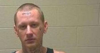 JEFFERY MOSELEY, JR | 2017-06-01 16:53:00 Coffee County, Tennessee Booking