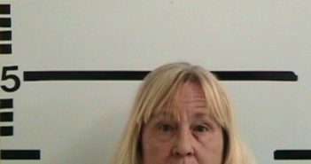 LIGHT, MELANIE ANN | 2017-06-01 Kerr County, Texas Booking