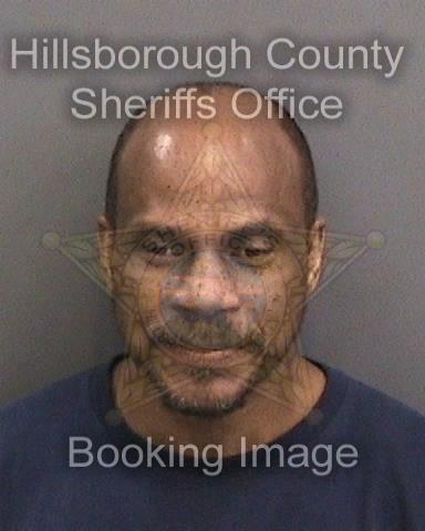 STEELESMITH, ALFONSO EDWARD #, Hillsborough County, Florida - 2017-06-01 11:58:00
