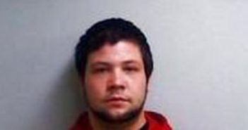 WILLIAM CLEVELAND | 2017-06-02 03:04:00 Page County, Virginia Booking