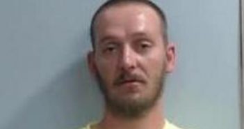 RANDALL WILLOUGHBY | 2017-06-02 22:47:00 Fayette County, Kentucky Booking