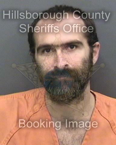 HAGGARD, CHRISTOPHER ALLEN #, Hillsborough County, Florida - 2017-06-02 23:21:00