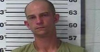 MICHAEL HARRIS | 2017-06-03 21:14:00 Gibson County, Tennessee Booking