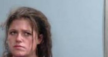 PATRICIA ROARK | 2017-06-03 22:48:00 Fayette County, Kentucky Booking