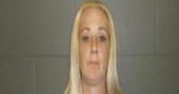 SARAH VANBLARCOM | 2017-06-05 09:40:00 Delaware County, New York Booking