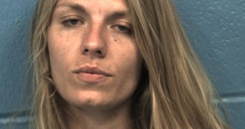 WELLINGS, NORDICA LEIGH | 2017-06-07 Williamson County, Texas Booking