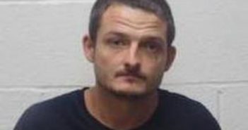 <B>CHRISTOPHER</B> <B>BOLTON</B> #, Robertson County, Tennessee - 2017-06-07 22:20:00