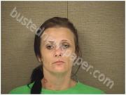 CUTCHINS, BRANDI | 2017-06-07 Harnett County, North Carolina Booking