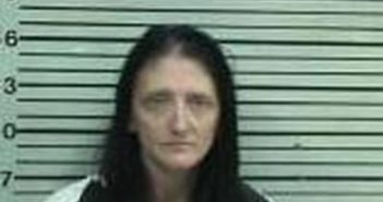CARLA HEAD | 2017-06-08 16:25:00 Hood County, Texas Booking