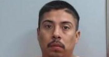 VICTOR FLORES-MARTINEZ | 2017-06-08 08:41:00 Fayette County, Kentucky Booking