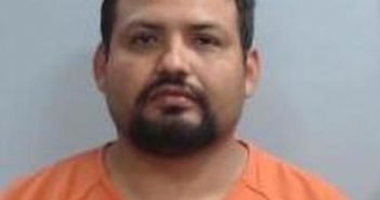 FRANCISCO GONZALEZ | 2017-06-08 08:35:00 Fayette County, Kentucky Booking