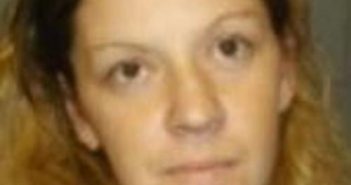 NICOLE SASS | 2017-06-09 15:08:00 Delaware County, New York Booking