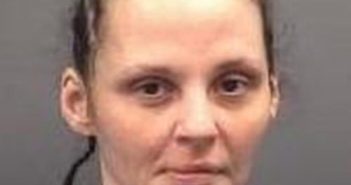 CYNTHIA MILLS | 2017-06-10 09:49:00 Rowan County, North Carolina Booking