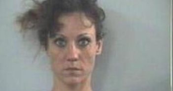 STEPHANY LAMB | 2017-06-10 23:08:00 Fayette County, Kentucky Booking