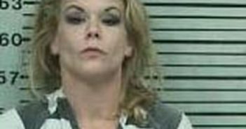 DARLA TURNER | 2017-06-12 02:34:00 Hood County, Texas Booking