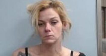 VICTORIA YOUNG | 2017-06-14 01:37:00 Fayette County, Kentucky Booking