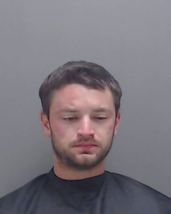 HAYNES, RICHARD LEE #, Harris County, Texas, Harrison County, Texas - 2017-06-15