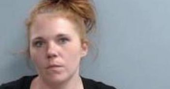 SASHAUNA MULLINS | 2017-06-16 21:28:00 Fayette County, Kentucky Booking