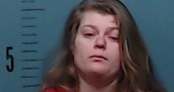 MILLER, VICTORIA MICHELLE | 2017-06-16 Taylor County, Texas Booking