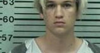 TYLER BLEVINS-STAFFORD | 2017-06-16 22:46:00 Hood County, Texas Booking