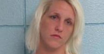 HOLLY WATSON-RICHARDS | 2017-04-20 15:11:00 Duplin County, North Carolina Booking