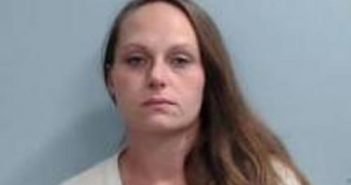 VANESSA COLEMAN | 2017-06-20 18:17:00 Fayette County, Kentucky Booking