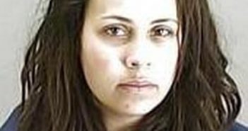 BRITNIE LEE | 2017-06-20 18:38:00 Summit County, Ohio Booking