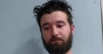 JUSTIN HANKS | 2017-06-20 03:44:00 Fayette County, Kentucky Booking