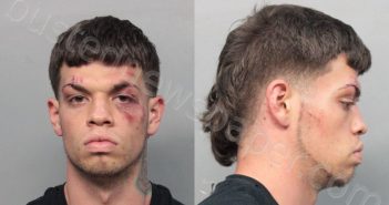 GONZALEZ, DAVID | 2017-06-21 02:29:00 Miami-Dade County, Florida Booking