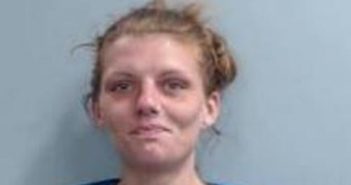 BRITTANY COLLINS | 2017-06-22 17:20:00 Fayette County, Kentucky Booking