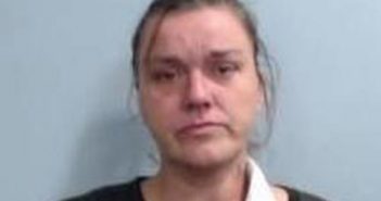 JUANITA ROJAS | 2017-06-22 23:11:00 Fayette County, Kentucky Booking