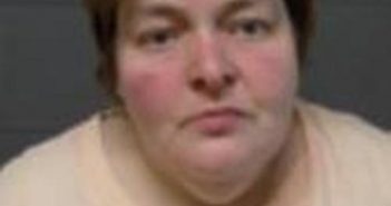 ANNETTE HAWLEY | 2017-06-23 09:18:00 Delaware County, New York Booking