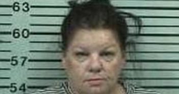 SHERI MCMANUS | 2017-06-23 11:49:00 Hood County, Texas Booking