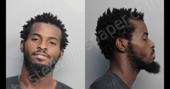 JEAN-LOUIS, ANDRE D | 2017-06-24 00:16:00 Miami-Dade County, Florida Booking