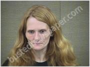 THIGPEN, ASHLEY | 2017-06-26 Harnett County, North Carolina Booking