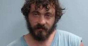 WILLIAM NICKERSON | 2017-06-27 15:09:00 Fayette County, Kentucky Booking