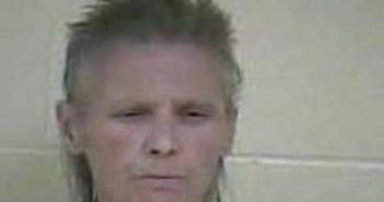 JANET FRANKLIN | 2017-06-27 00:59:00 Taylor County, Kentucky Booking